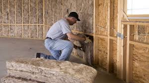 Best Batt and Roll Insulation  in Kyle, TX